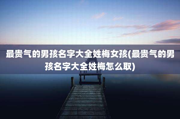 最贵气的男孩名字大全姓梅女孩(最贵气的男孩名字大全姓梅怎么取)