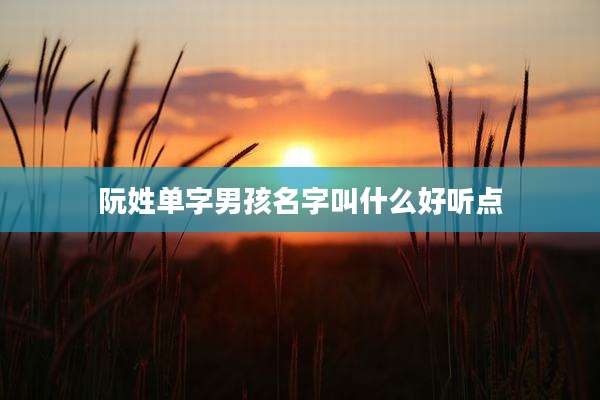 阮姓单字男孩名字叫什么好听点