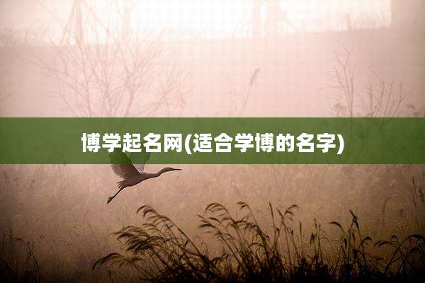 博学起名网(适合学博的名字)