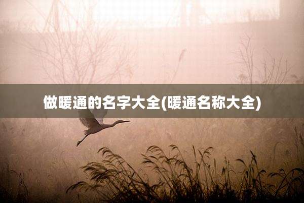 做暖通的名字大全(暖通名称大全)