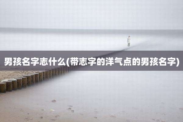 男孩名字志什么(带志字的洋气点的男孩名字)