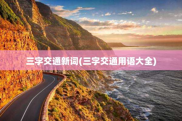 三字交通新词(三字交通用语大全)