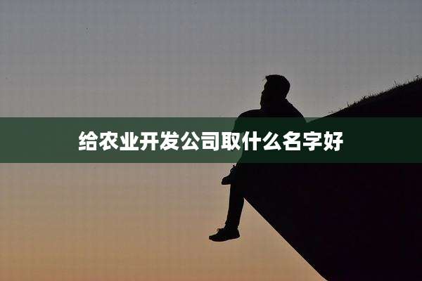 给农业开发公司取什么名字好