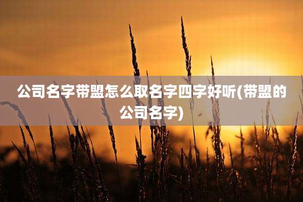 公司名字带盟怎么取名字四字好听(带盟的公司名字)