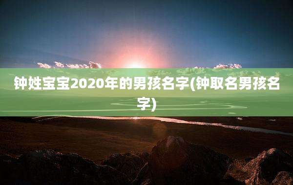 钟姓宝宝2020年的男孩名字(钟取名男孩名字)