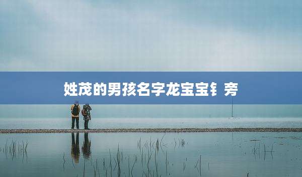 姓茂的男孩名字龙宝宝钅旁