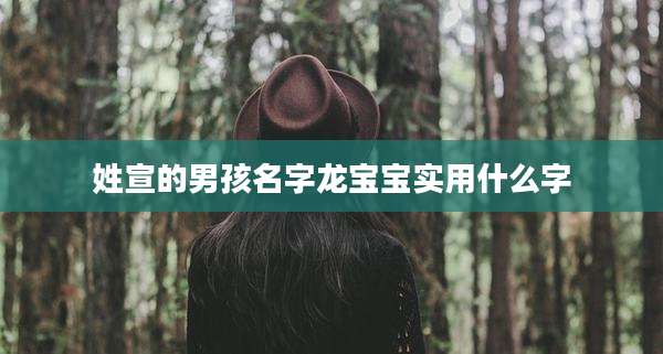 姓宣的男孩名字龙宝宝实用什么字