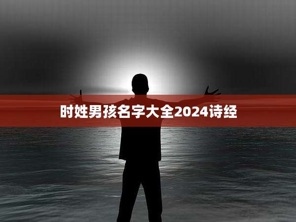 时姓男孩名字大全2024诗经