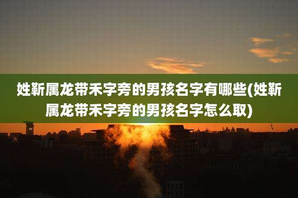 姓靳属龙带禾字旁的男孩名字有哪些(姓靳属龙带禾字旁的男孩名字怎么取)