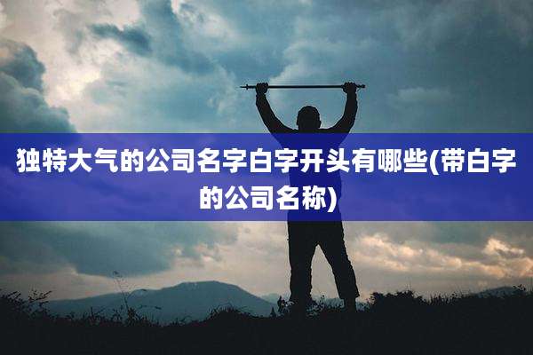 独特大气的公司名字白字开头有哪些(带白字的公司名称)