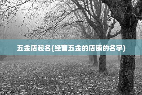 五金店起名(经营五金的店铺的名字)
