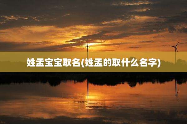 姓孟宝宝取名(姓孟的取什么名字)