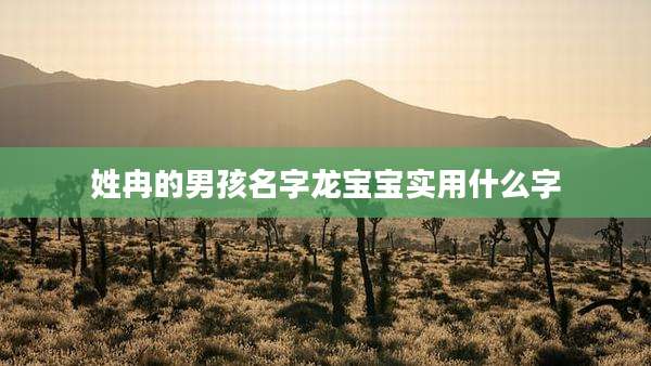 姓冉的男孩名字龙宝宝实用什么字