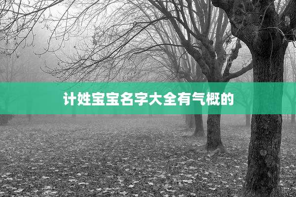 计姓宝宝名字大全有气概的