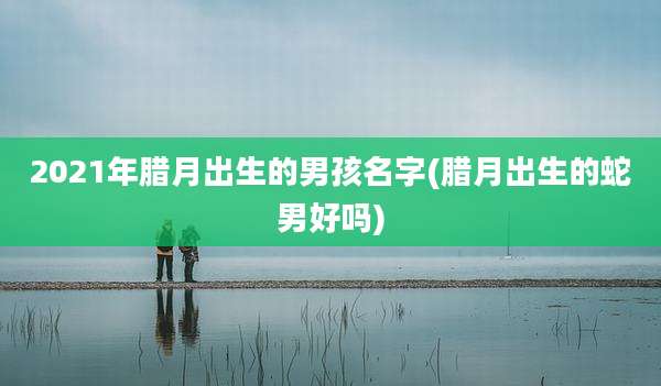 2021年腊月出生的男孩名字(腊月出生的蛇男好吗)