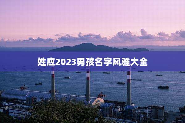 姓应2023男孩名字风雅大全