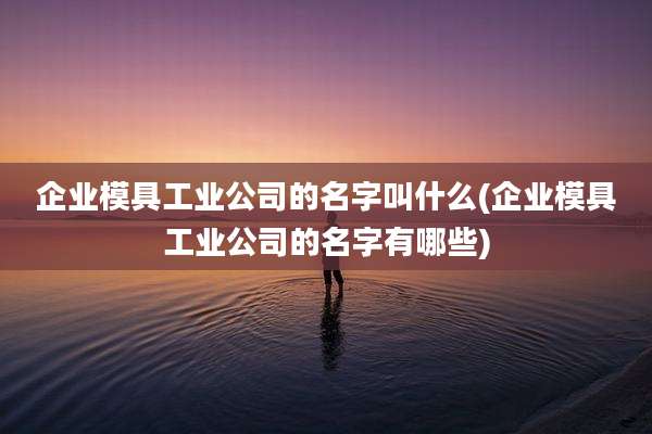 企业模具工业公司的名字叫什么(企业模具工业公司的名字有哪些)