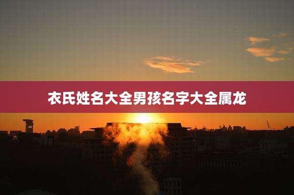 衣氏姓名大全男孩名字大全属龙