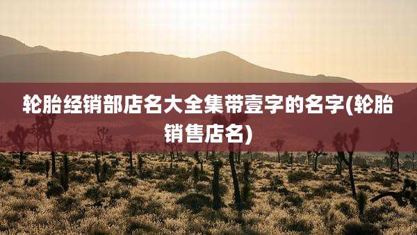 轮胎经销部店名大全集带壹字的名字(轮胎销售店名)