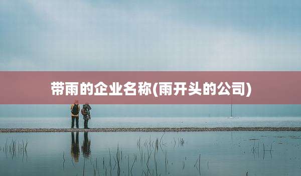 带雨的企业名称(雨开头的公司)