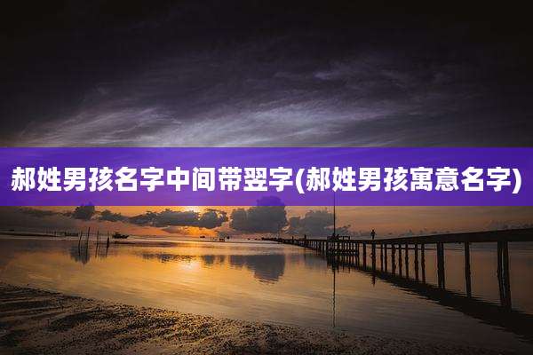 郝姓男孩名字中间带翌字(郝姓男孩寓意名字)