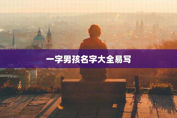 一字男孩名字大全易写