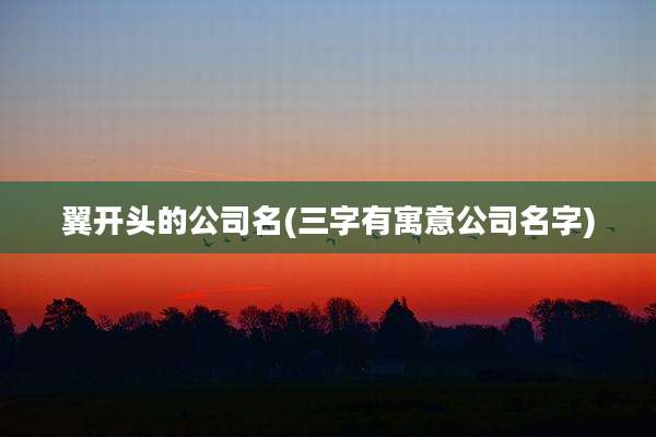 翼开头的公司名(三字有寓意公司名字)