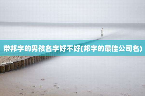带邦字的男孩名字好不好(邦字的最佳公司名)
