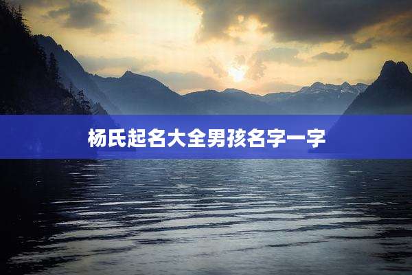 杨氏起名大全男孩名字一字