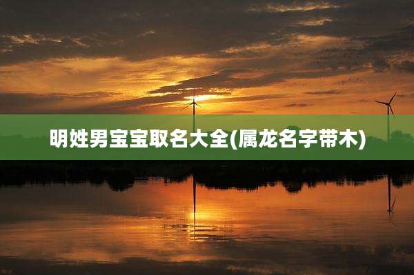 明姓男宝宝取名大全(属龙名字带木)