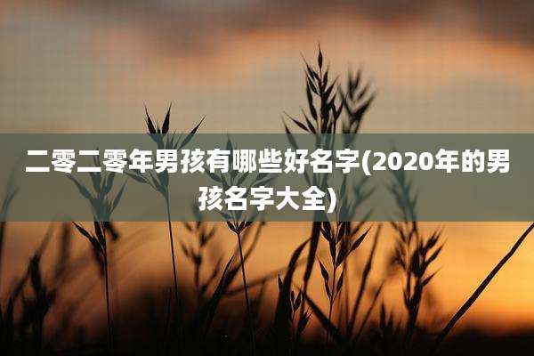 二零二零年男孩有哪些好名字(2020年的男孩名字大全)