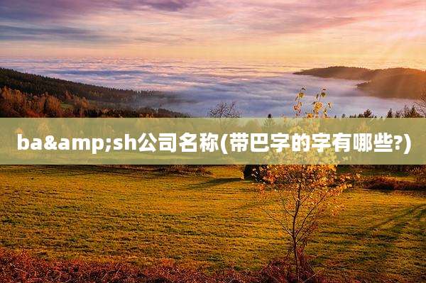 ba&sh公司名称(带巴字的字有哪些?)