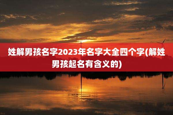 姓解男孩名字2023年名字大全四个字(解姓男孩起名有含义的)