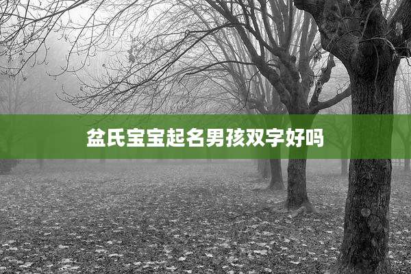 盆氏宝宝起名男孩双字好吗