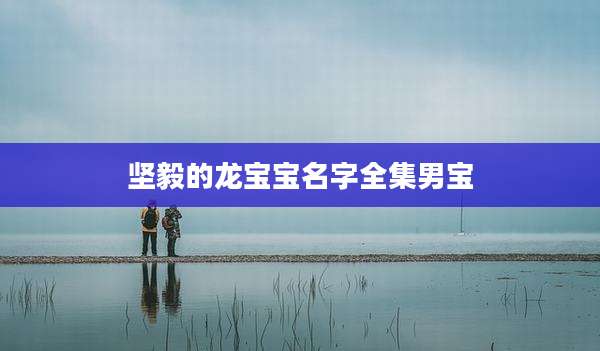 坚毅的龙宝宝名字全集男宝