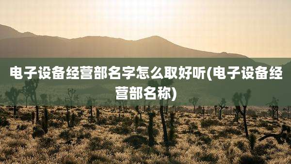 电子设备经营部名字怎么取好听(电子设备经营部名称)