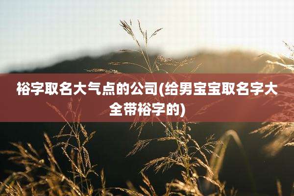 裕字取名大气点的公司(给男宝宝取名字大全带裕字的)