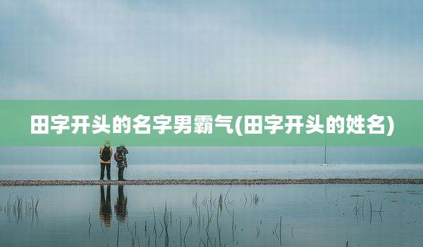 田字开头的名字男霸气(田字开头的姓名)
