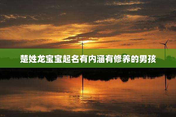 楚姓龙宝宝起名有内涵有修养的男孩