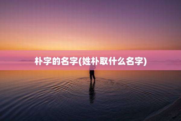 朴字的名字(姓朴取什么名字)