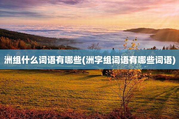 洲组什么词语有哪些(洲字组词语有哪些词语)