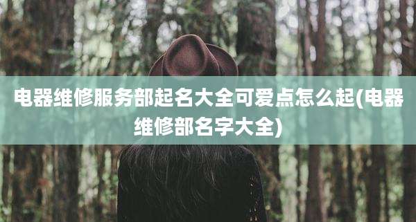电器维修服务部起名大全可爱点怎么起(电器维修部名字大全)