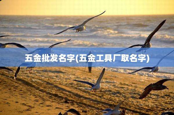 五金批发名字(五金工具厂取名字)
