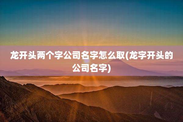 龙开头两个字公司名字怎么取(龙字开头的公司名字)