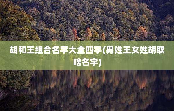 胡和王组合名字大全四字(男姓王女姓胡取啥名字)