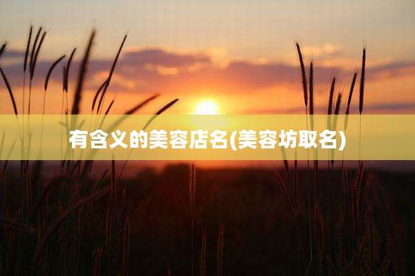 有含义的美容店名(美容坊取名)
