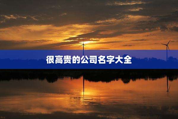 很高贵的公司名字大全