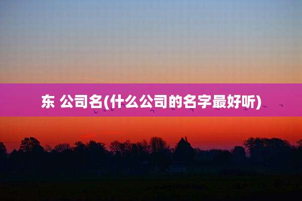 东 公司名(什么公司的名字最好听)