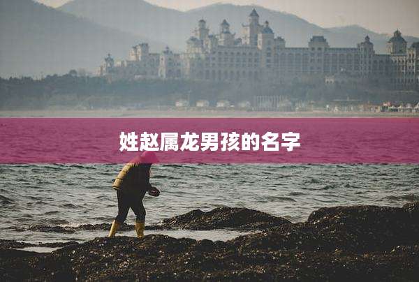 姓赵属龙男孩的名字