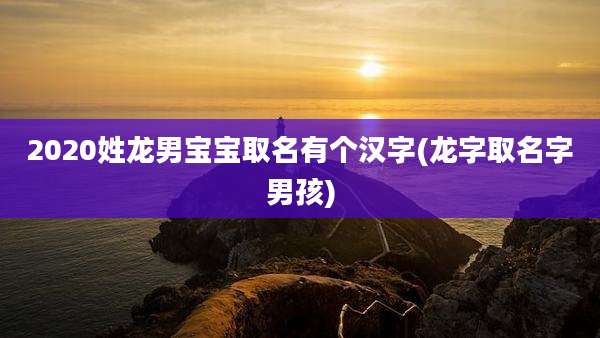2020姓龙男宝宝取名有个汉字(龙字取名字男孩)